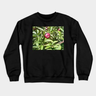 Apple Crewneck Sweatshirt